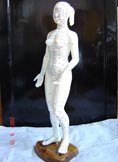 針灸模型｜針灸穴位模型｜人體針灸模型（女性48CM）