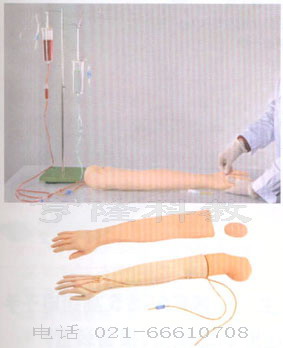 護(hù)理模型|多功能靜脈穿刺輸液手臂模型