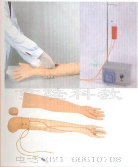 護(hù)理模型|高級(jí)手臂靜脈穿刺訓(xùn)練示教模型（電子血液循環(huán)裝置）