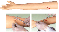 臨床技能模型|高級(jí)外科縫合手臂模型