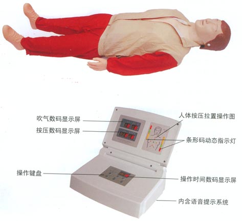 心肺復蘇模擬人|心肺復蘇模型|高級全自動電腦心肺復蘇模擬人