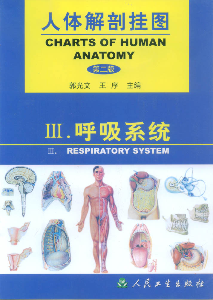 人體解剖掛圖|醫(yī)學(xué)彩色教學(xué)掛圖|人體解剖掛圖(呼吸系統(tǒng))