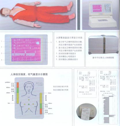 按壓吹氣假人|大屏幕液晶彩顯高級電腦心肺復(fù)蘇模擬人