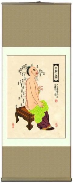 中醫(yī)針灸掛圖：十四經(jīng)絡(luò) 督脈之圖