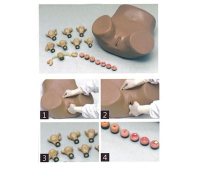 高級婦科檢查模型