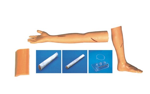外科綜合技能訓(xùn)練組合模型