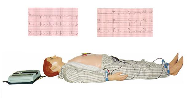 多種心電圖電腦模擬人