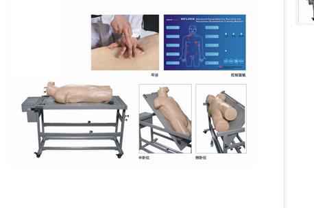 高級綜合穿刺術(shù)與叩診檢查技能訓(xùn)練模擬人