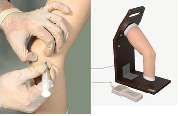 高級電子肘關(guān)節(jié)腔內(nèi)注射模型